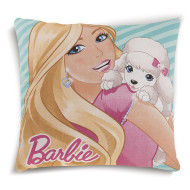 ΜΑΞΙΛΑΡΑΚΙΑ DISNEY BARBIE 08 40Χ40 Digital Print
