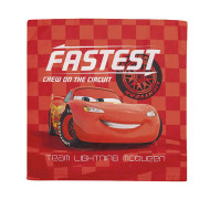 ΜΑΞΙΛΑΡΑΚΙΑ DISNEY CARS 40 40Χ40 Digital Print