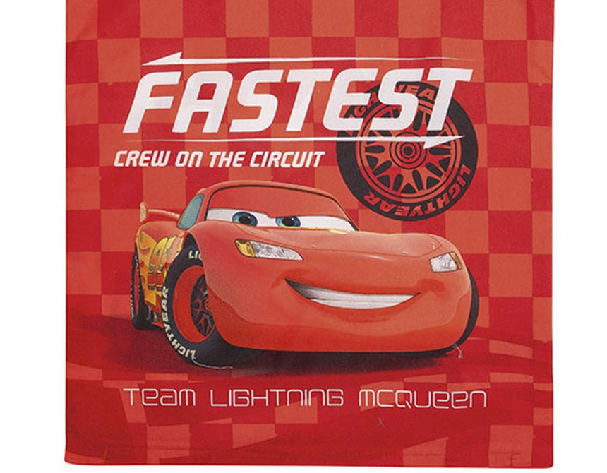 ΜΑΞΙΛΑΡΑΚΙΑ DISNEY CARS 40 40Χ40 Digital Print