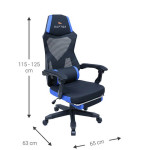 Καρέκλα Gaming Raptor Venom-Mple