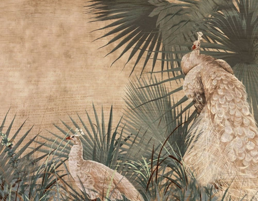 Tropical Peacocks πίνακας διακόσμησης M (21351)