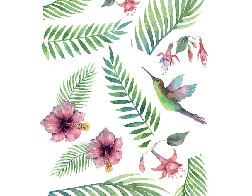 Tropical Hummingbird αυτοκόλλητα τοίχου βινυλίου L (44210)