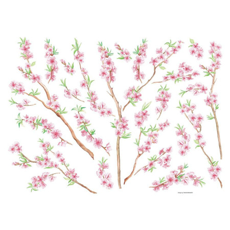 Peach Brance αυτοκόλλητα τοίχου βινυλίου (44232)