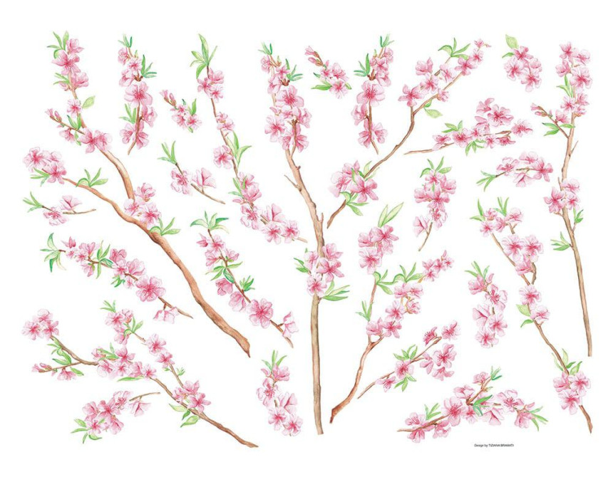 Peach Brance αυτοκόλλητα τοίχου βινυλίου (44232)