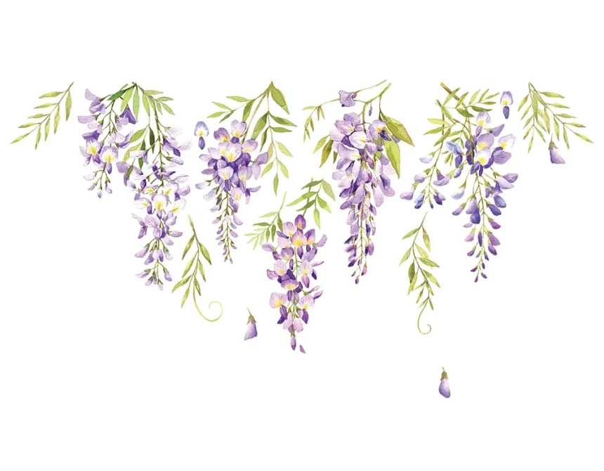Wisteria αυτοκόλλητα τοίχου βινυλίου (44239)