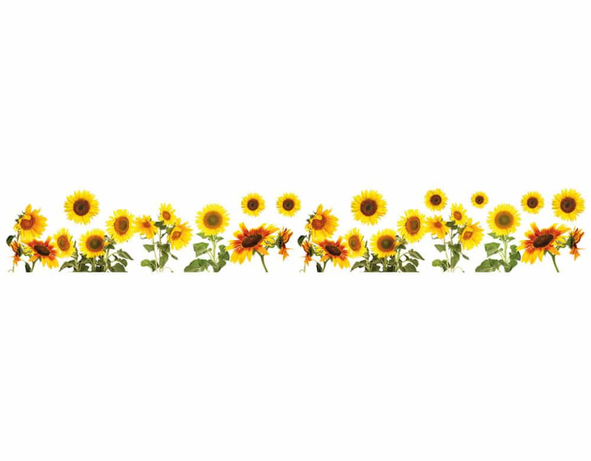 Sunflower μπορντούρες αυτοκόλλητες βινυλίου (53001)
