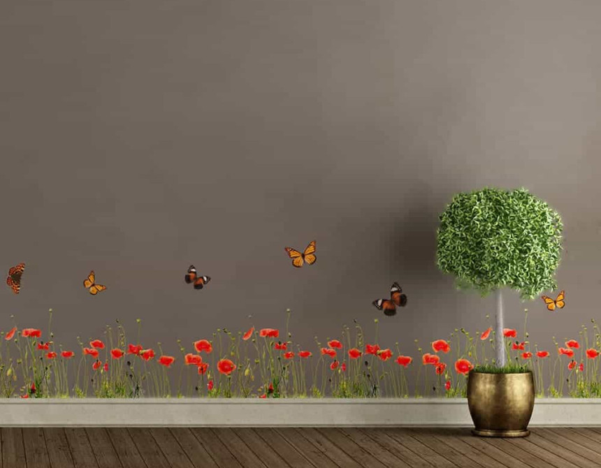 Poppies & Butterflies μπορντούρες αυτοκόλλητες βινυλίου (53002)