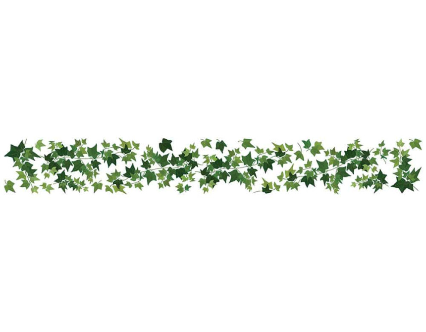 Ivy μπορντούρες αυτοκόλλητες βινυλίου (53013)