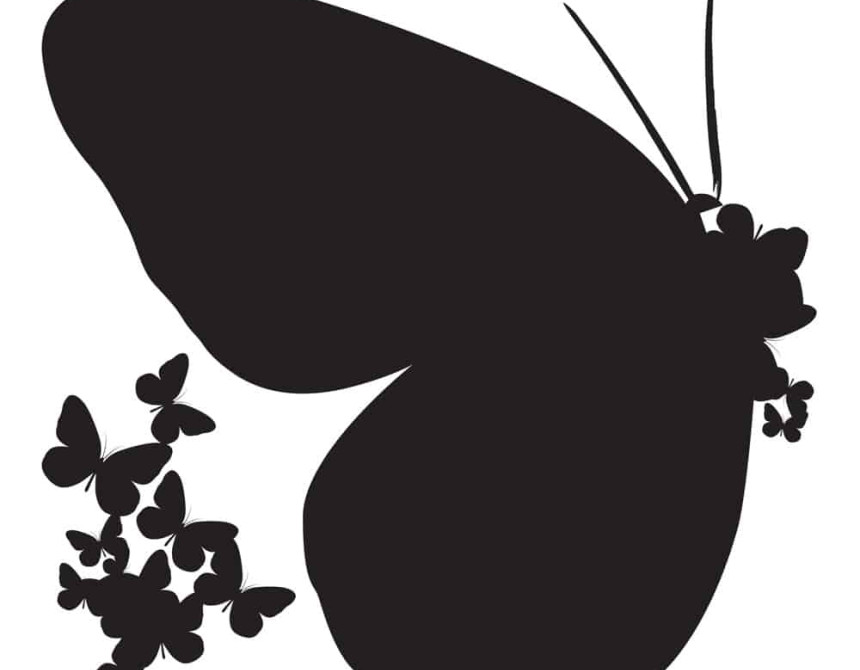 Butterflies Silhouettes αυτοκόλλητα τοίχου βινυλίου M (54110)