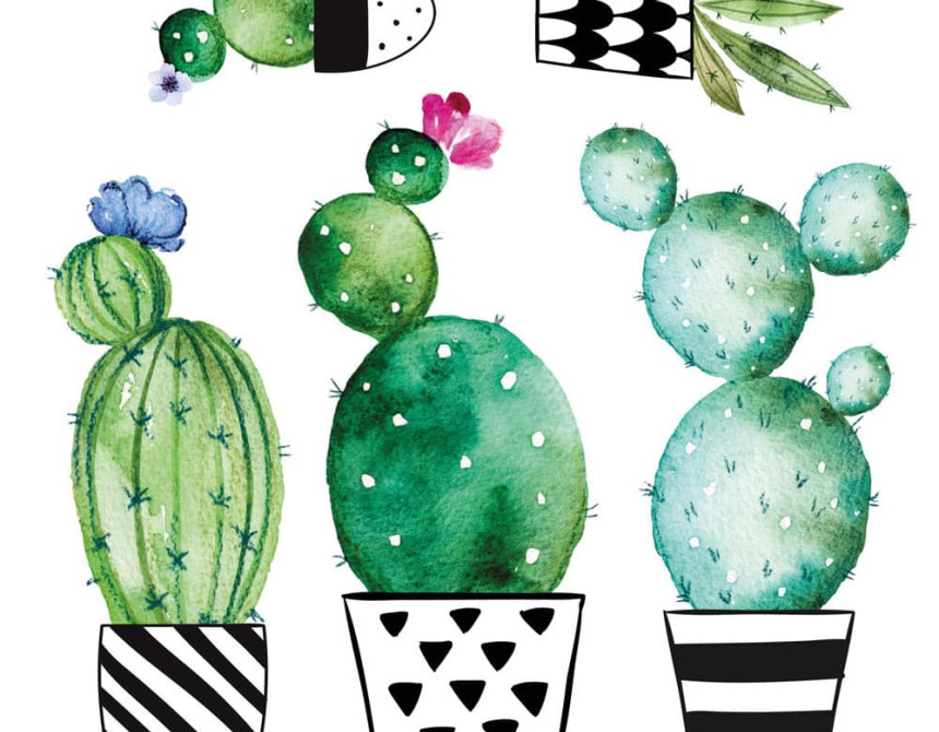 Watercolour Cactus αυτοκόλλητα τοίχου βινυλίου (54114)