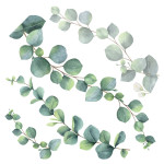 Eucalyptus αυτοκόλλητα τοίχου βινυλίου (54120)