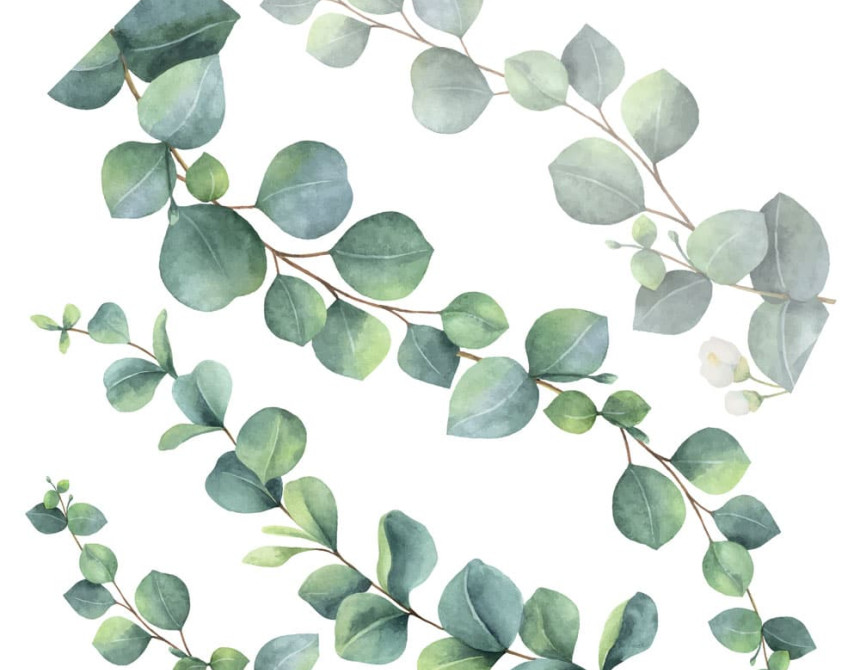 Eucalyptus αυτοκόλλητα τοίχου βινυλίου (54120)