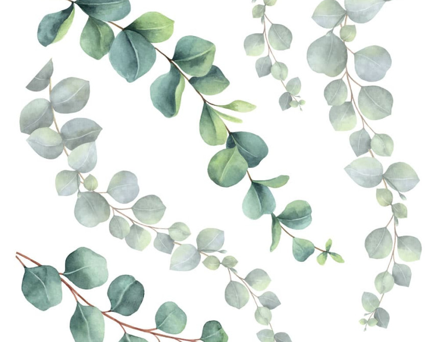 Eucalyptus αυτοκόλλητα τοίχου βινυλίου (54120)