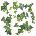 Ivy αυτοκόλλητα τοίχου βινυλίου (54152)