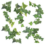 Ivy αυτοκόλλητα τοίχου βινυλίου (54152)