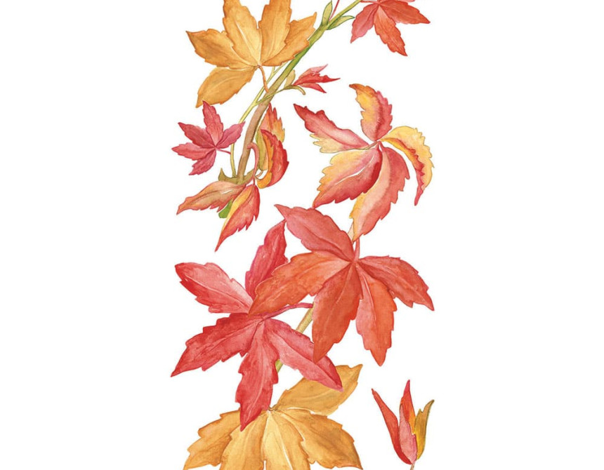 Virginia Creeper αυτοκόλλητα τοίχου βινυλίου (59154)