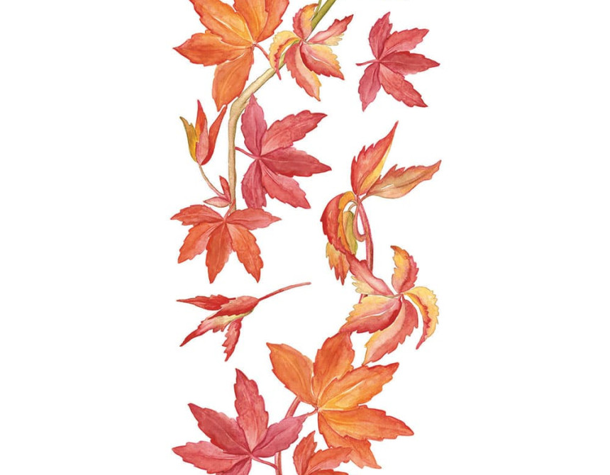 Virginia Creeper αυτοκόλλητα τοίχου βινυλίου (59154)