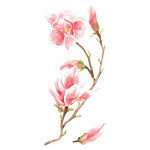 Magnolia αυτοκόλλητα τοίχου βινυλίου (59155)