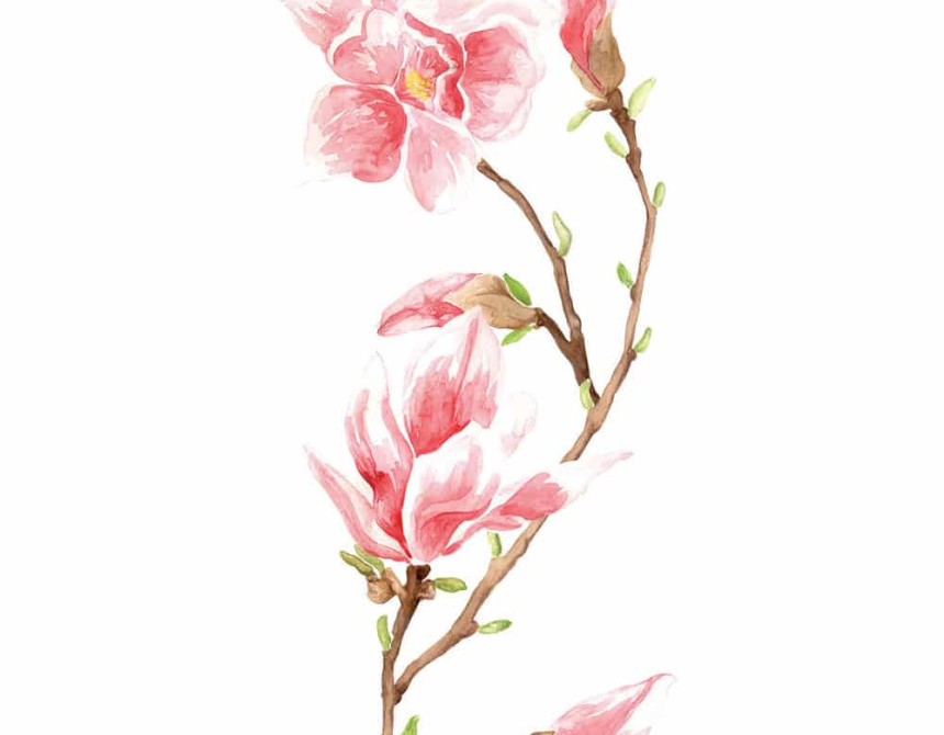 Magnolia αυτοκόλλητα τοίχου βινυλίου (59155)