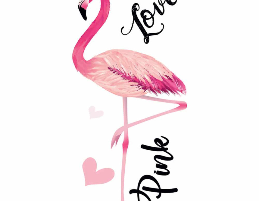 Flamingos αυτοκόλλητα τοίχου βινυλίου (59175)