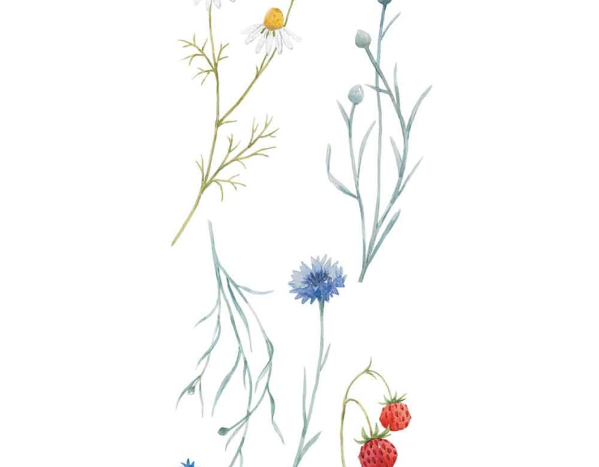Field Flowers αυτοκόλλητα τοίχου βινυλίου (59178)