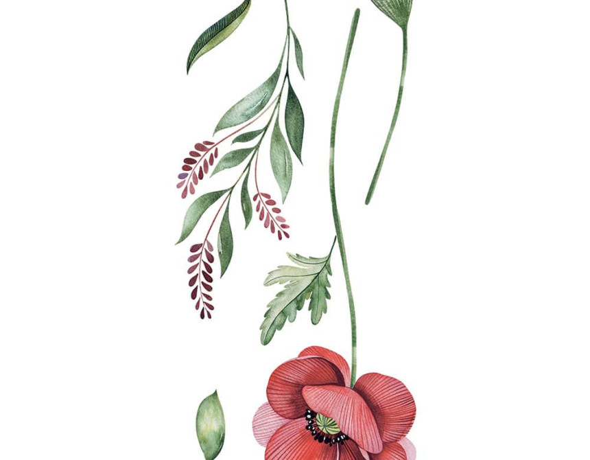 Poppies αυτοκόλλητα τοίχου βινυλίου (59180)
