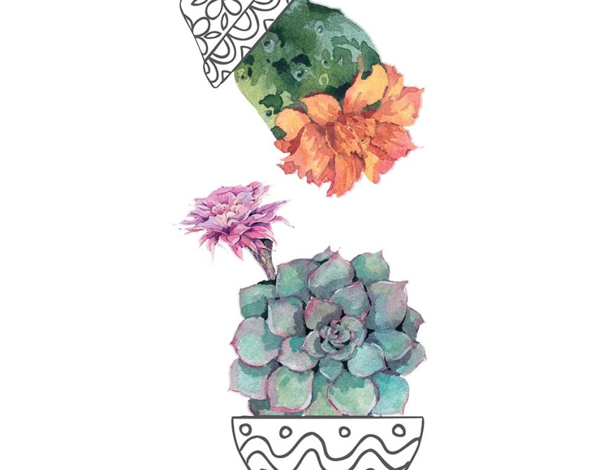 Cactus Vases αυτοκόλλητα τοίχου βινυλίου (59181)