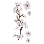 Photographic Blossom αυτοκόλλητα τοίχου βινυλίου (59389)