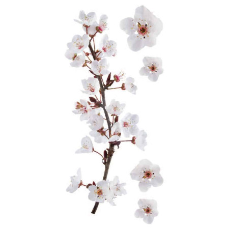 Photographic Blossom αυτοκόλλητα τοίχου βινυλίου (59389)