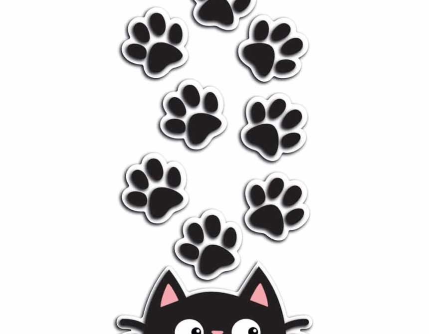 Cat & Paws αφρώδη αυτοκόλλητα τοίχου S (59516)