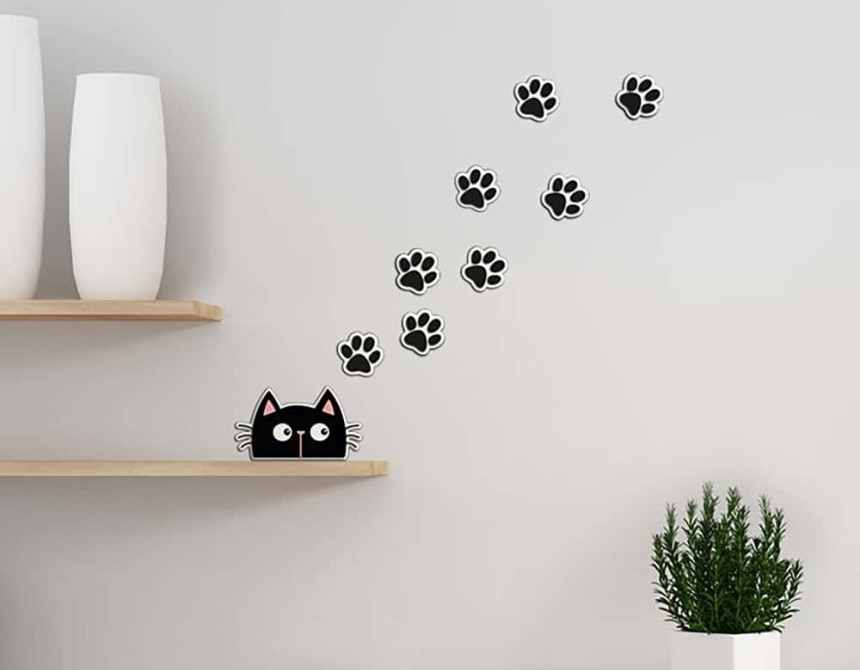 Cat & Paws αφρώδη αυτοκόλλητα τοίχου S (59516)