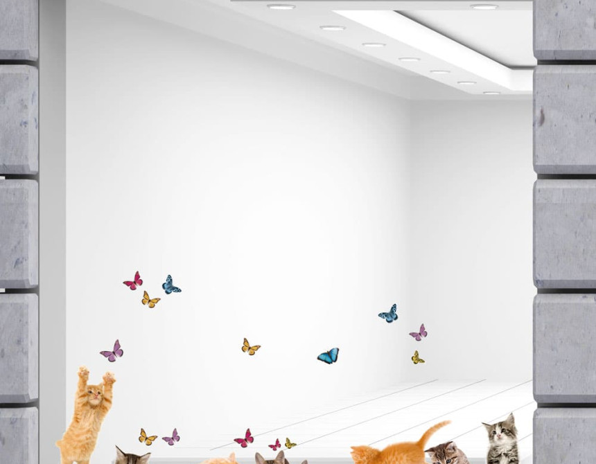 Cats αυτοκόλλητα βινυλίου για τζάμι M (64001)