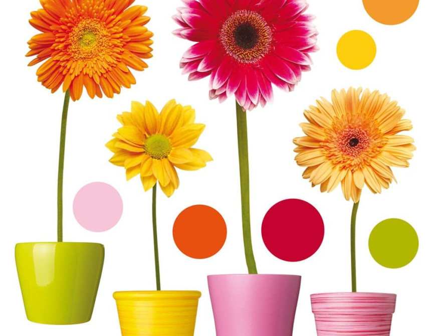 Gerberas αυτοκόλλητα βινυλίου για τζάμι M (64003)