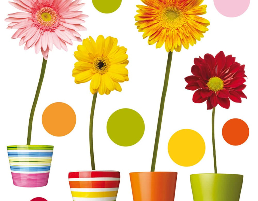 Gerberas αυτοκόλλητα βινυλίου για τζάμι M (64003)
