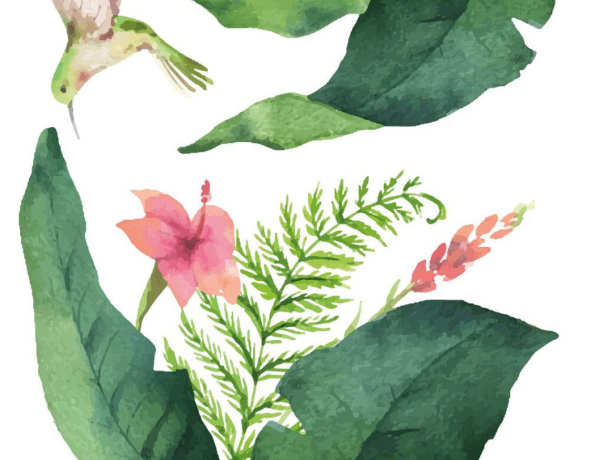 Tropical Flowers αυτοκόλλητα βινυλίου για τζάμι (64017)