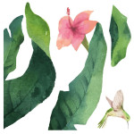 Tropical Flowers αυτοκόλλητα βινυλίου για τζάμι (64017)