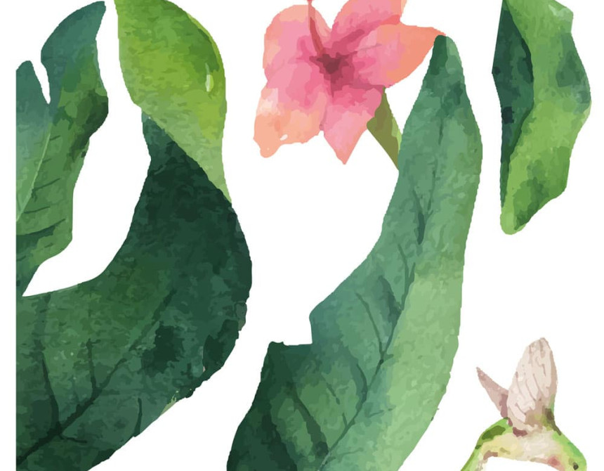 Tropical Flowers αυτοκόλλητα βινυλίου για τζάμι (64017)