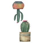 Cactus αυτοκόλλητα βινυλίου για τζάμι S (69001)
