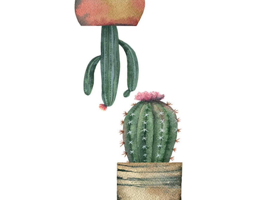 Cactus αυτοκόλλητα βινυλίου για τζάμι S (69001)