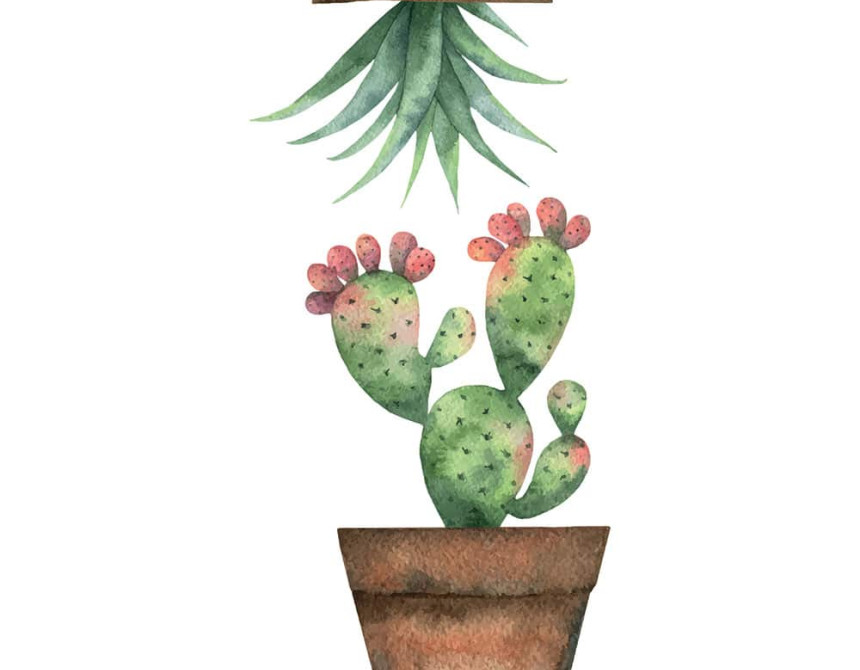 Cactus αυτοκόλλητα βινυλίου για τζάμι S (69001)