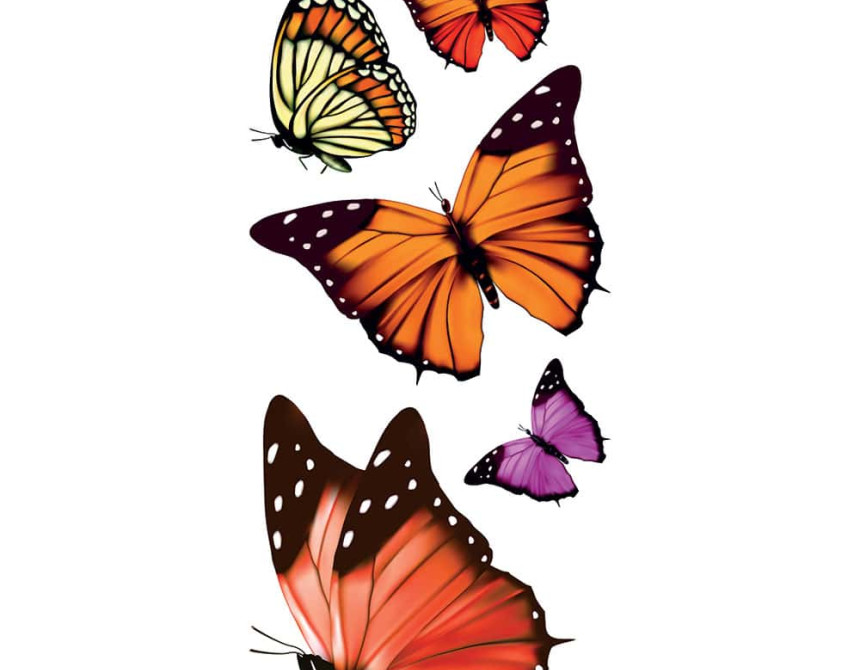 Butterflies αυτοκόλλητα βινυλίου για τζάμι S (69002)