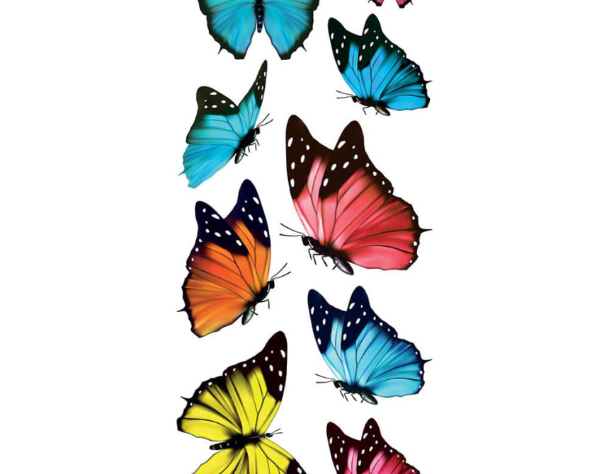 Butterflies αυτοκόλλητα βινυλίου για τζάμι S (69002)