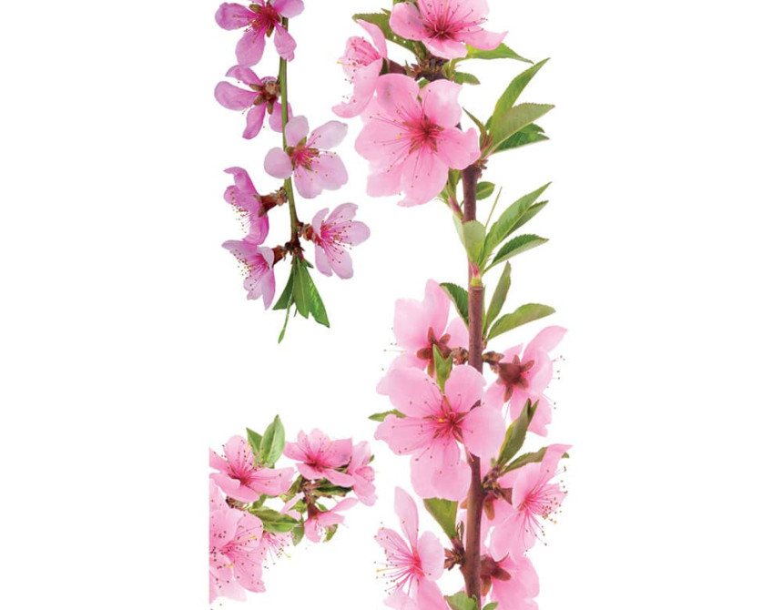 Peach Branch αυτοκόλλητα βινυλίου για τζάμι (69005)
