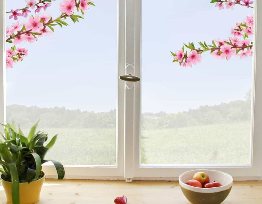 Peach Branch αυτοκόλλητα βινυλίου για τζάμι (69005)