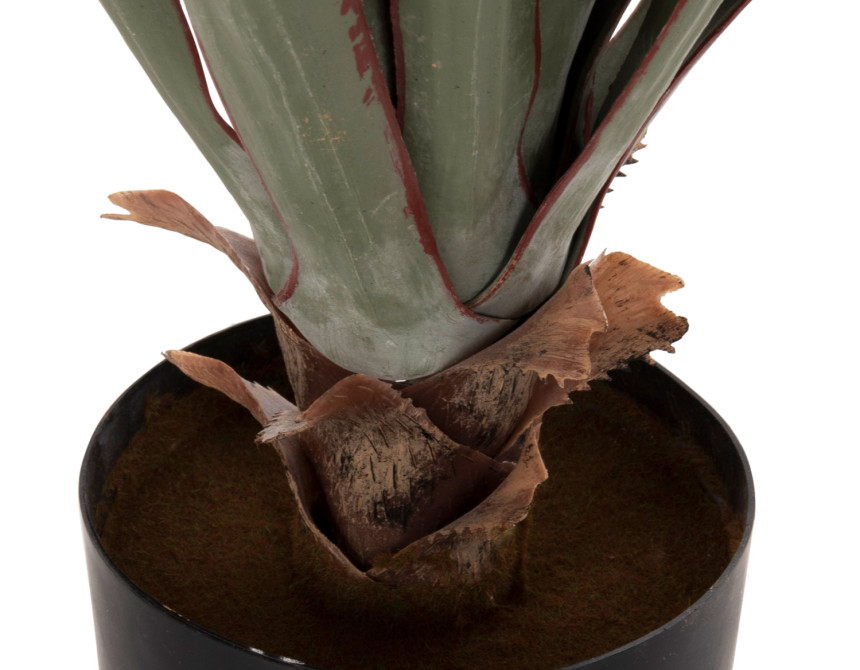 ΔΙΑΚΟΣΜΗΤΙΚΟ ΣΥΝΘΕΤΙΚΟ ΦΥΤΟ HM7985 SISAL AGAVE ΣΕ ΓΛΑΣΤΡΑ  Φ13,5x13-76Υεκ.