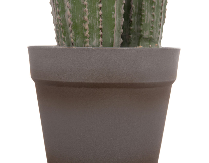 ΔΙΑΚΟΣΜΗΤΙΚΟ ΣΥΝΘΕΤΙΚΟ ΦΥΤΟ HM4743 ΚΑΚΤΟΣ ΜΕ ΓΛΑΣΤΡΑ Φ16x62Υεκ.