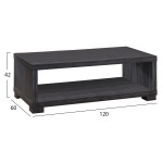 ΤΡΑΠΕΖΙ ΣΑΛΟΝΙΟΥ SALEM HM2217.01 ZEBRANO 120Χ60Χ42εκ.