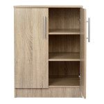 ΠΑΠΟΥΤΣΟΘΗΚΗ ΝΤΟΥΛΑΠΙ EMERIE HM2206.02 SONAMA 60X40,5X80 εκ.