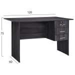 ΓΡΑΦΕΙΟ ΜΕΛΑΜΙΝΗΣ HAYDEN 120x60x75Υεκ.ΜΕ 3 ΣΥΡΤΑΡΙΑ ΣΕ ΑΝΘΡΑΚΙ ΧΡΩΜΑ HM2268.01