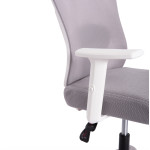 ΚΑΡΕΚΛΑ ΓΡΑΦΕΙΟΥ MEXER HM1195.02 ΓΚΡΙ MESH-ΜΕΤΑΛ.ΒΑΣΗ-ΣΚΕΛΕΤΟΣ ΛΕΥΚΟΣ 60x49x130Υεκ